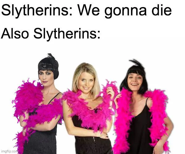 Image posted by the member