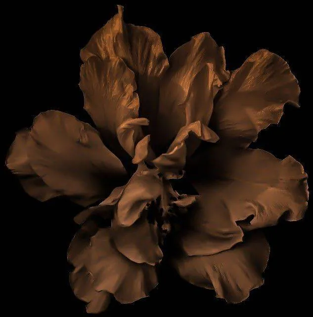 Image posted by the member