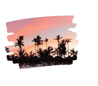 Image posted by the member