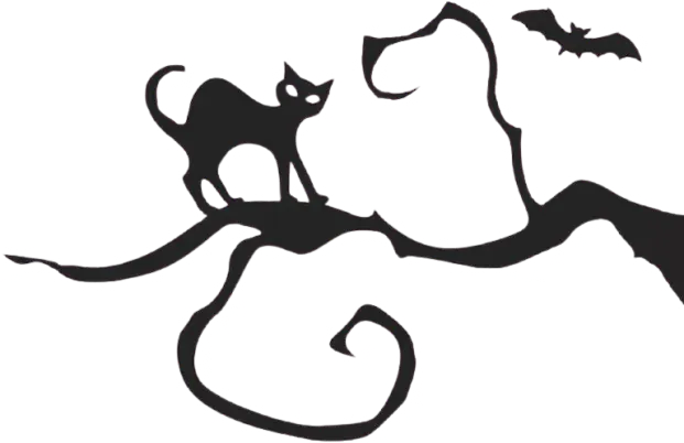 Image posted by the member