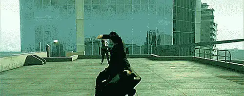 Image posted by the member