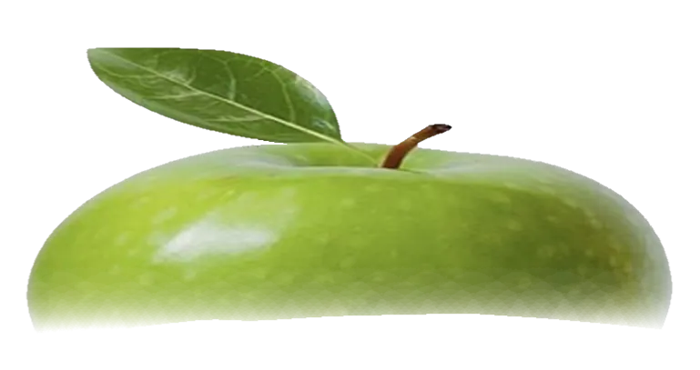 Image posted by the member