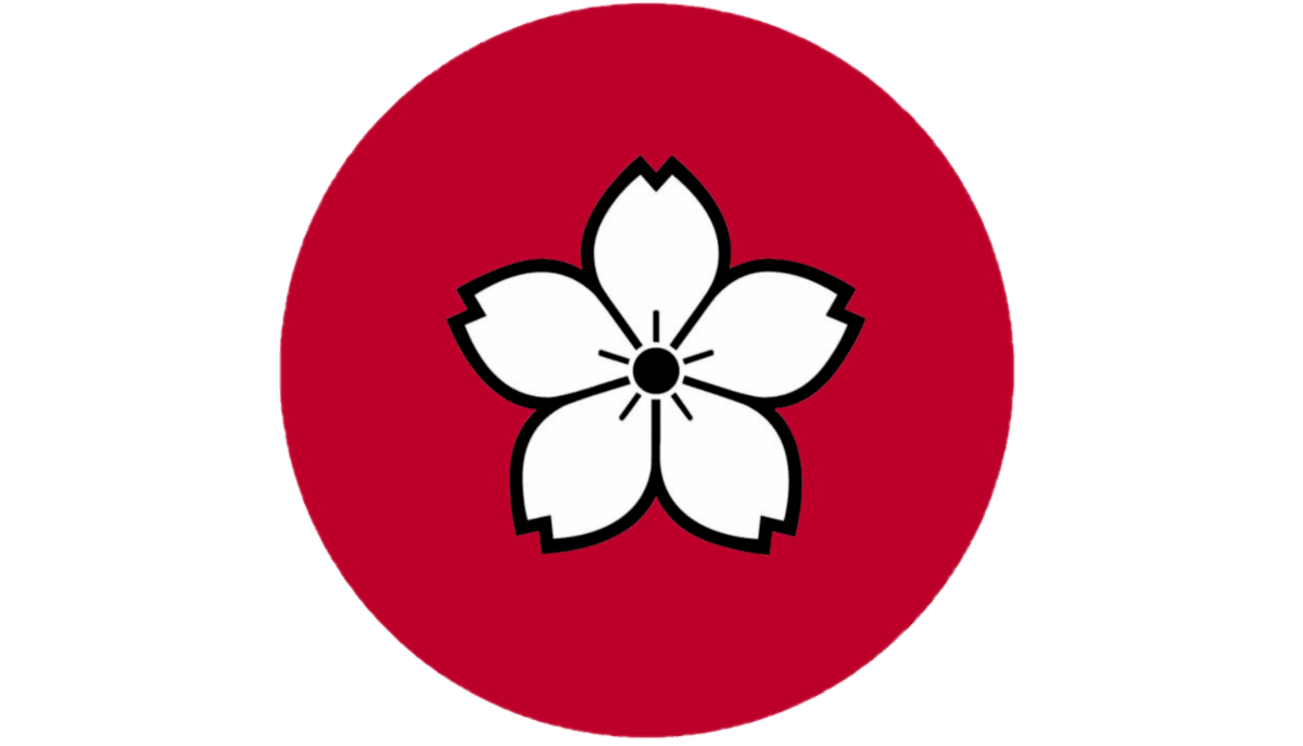 Image posted by the member