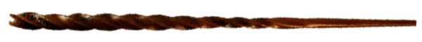 Image posted by the member