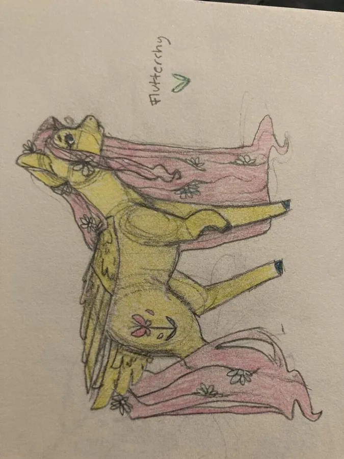 Image posted by the member