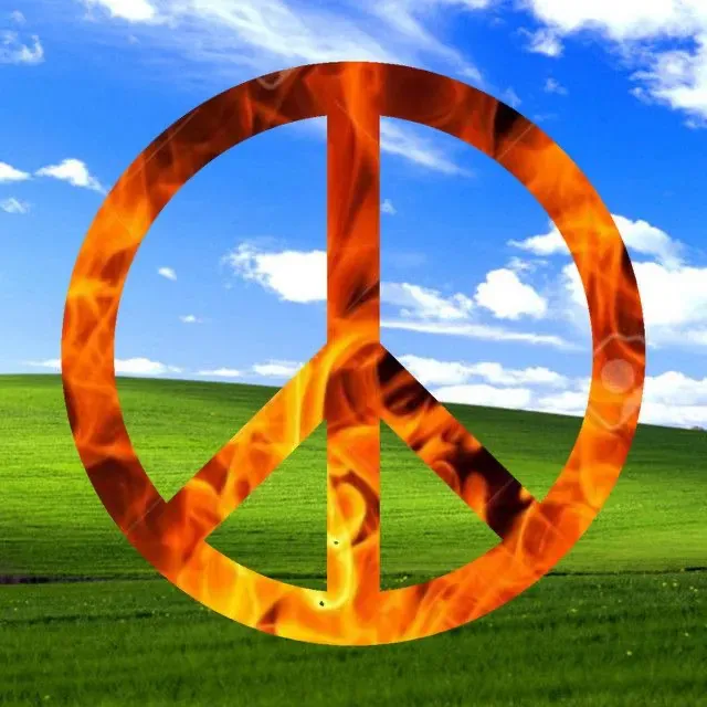 Image posted by the member