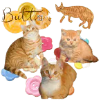 Image posted by the member