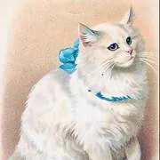 Image posted by the member