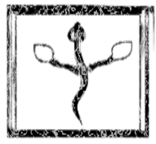 Image posted by the member