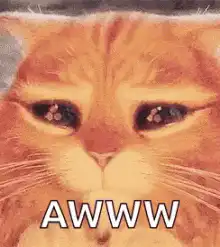 Image posted by the member