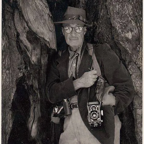 Image posted by the member