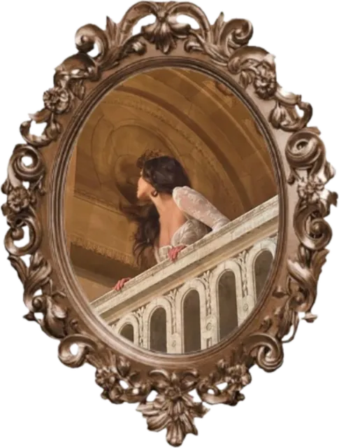 Image posted by the member