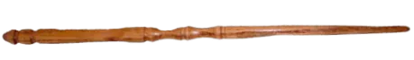 Image posted by the member