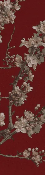 Image posted by the member