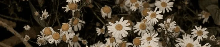 Image posted by the member