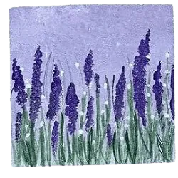 Image posted by the member