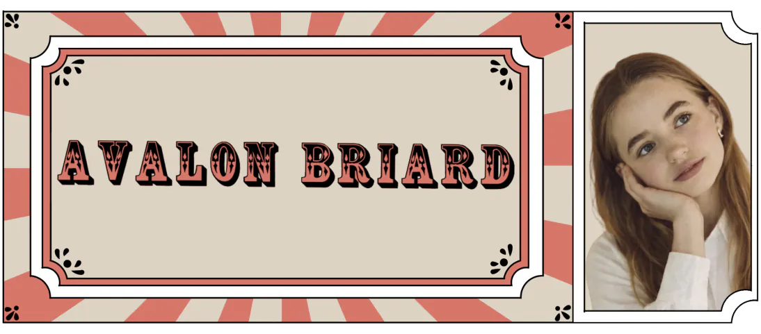 Avalon Briard Circus Themed Banner