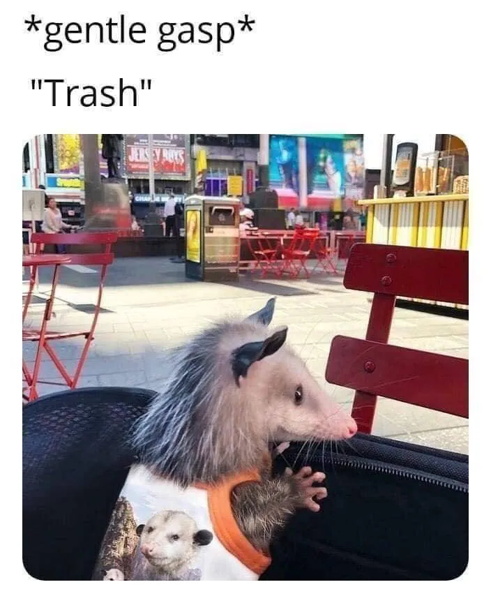 Image posted by the member