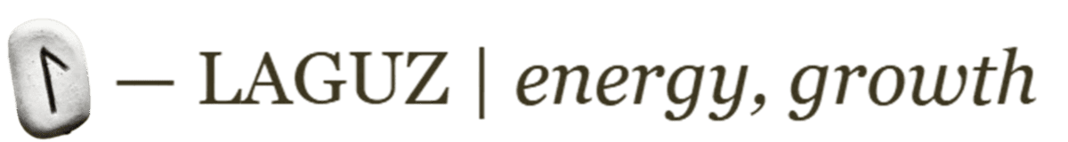 Image posted by the member
