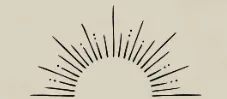 Image posted by the member