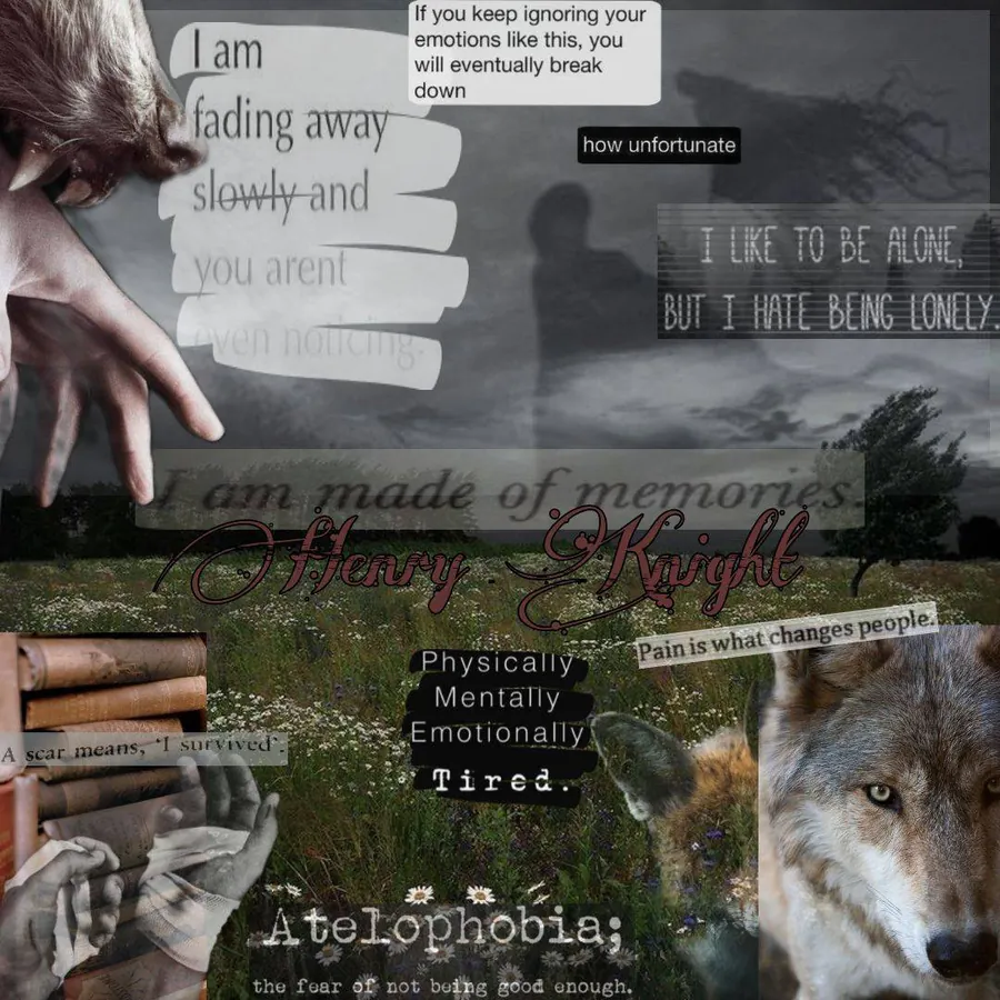 Image posted by the member