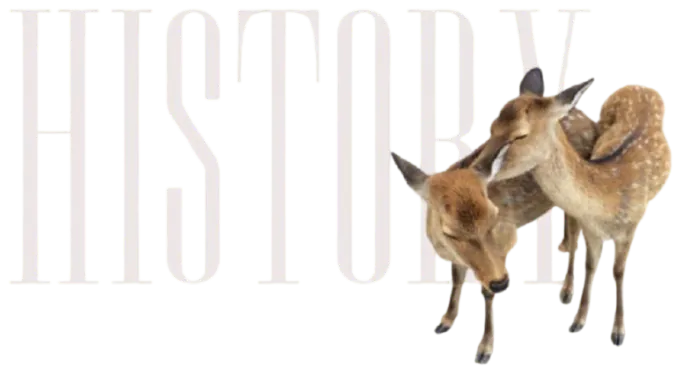 Image posted by the member