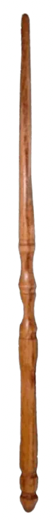 Image posted by the member