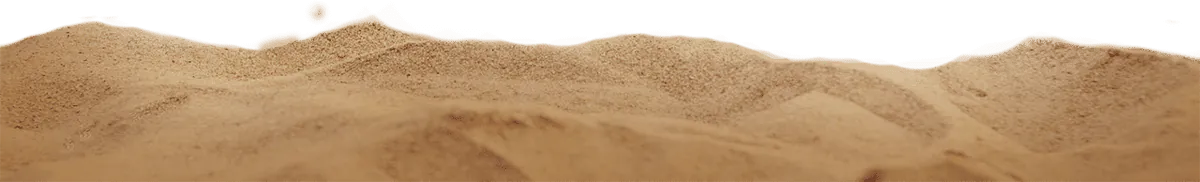 Image posted by the member