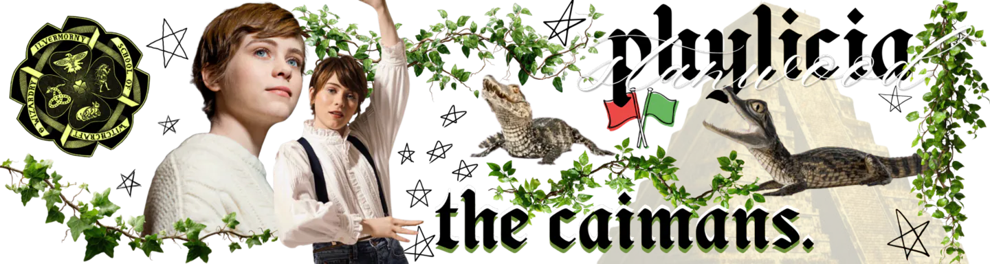 Image posted by the member