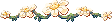 Image posted by the member