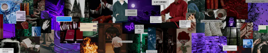 Image posted by the member