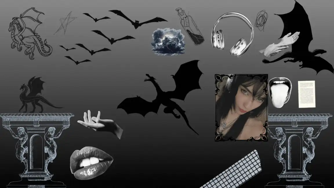 Image posted by the member