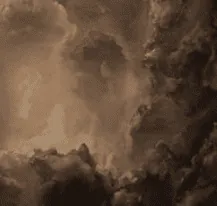 Image posted by the member
