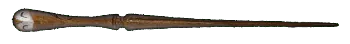 Image posted by the member