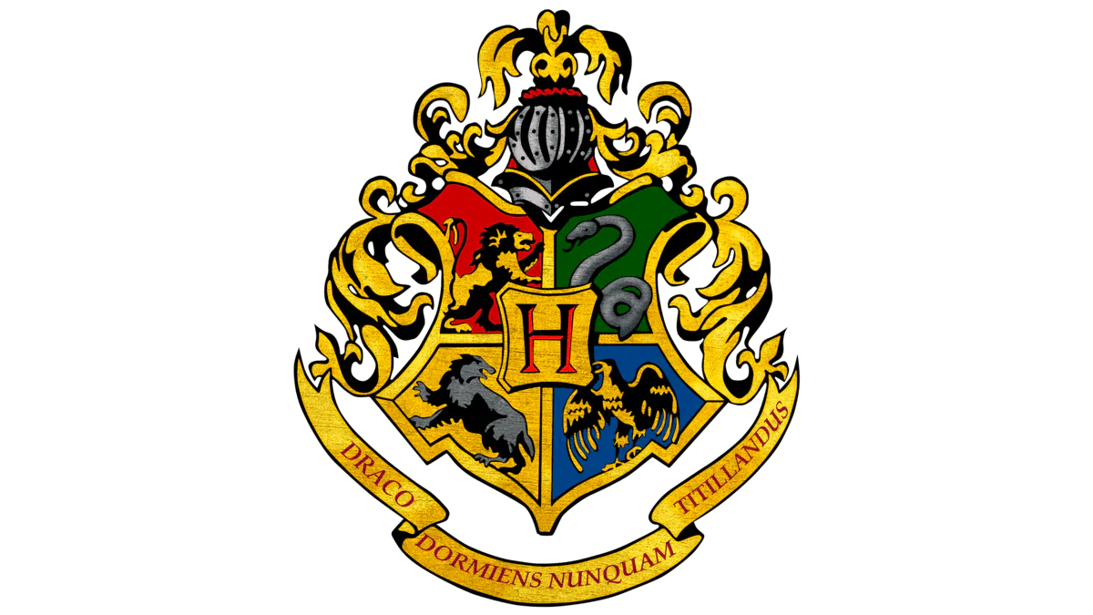 Image posted by the member