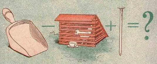 Image posted by the member