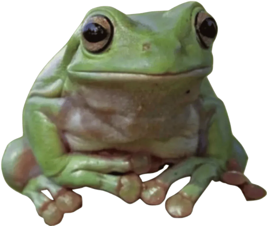 Image posted by the member