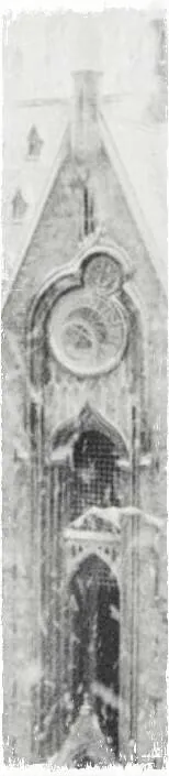Image posted by the member