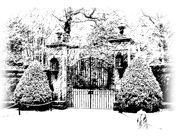 Image posted by the member