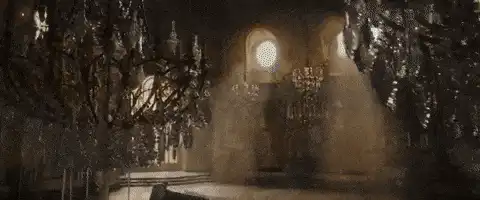 Image posted by the member