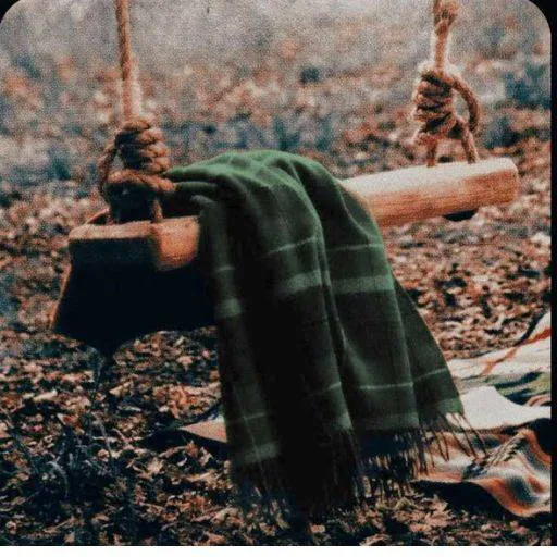 Image posted by the member