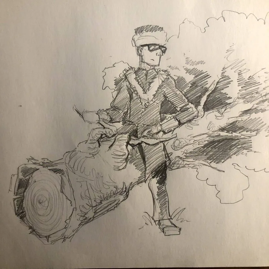 Image posted by the member
