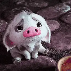 Image posted by the member