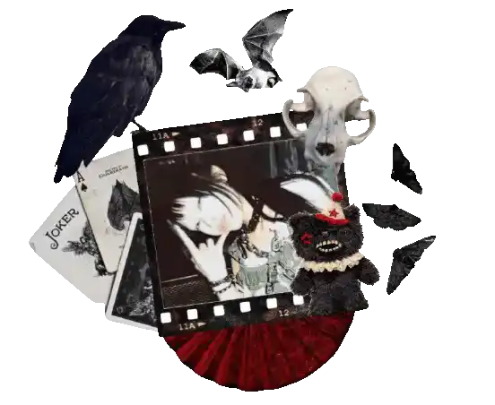 Image posted by the member