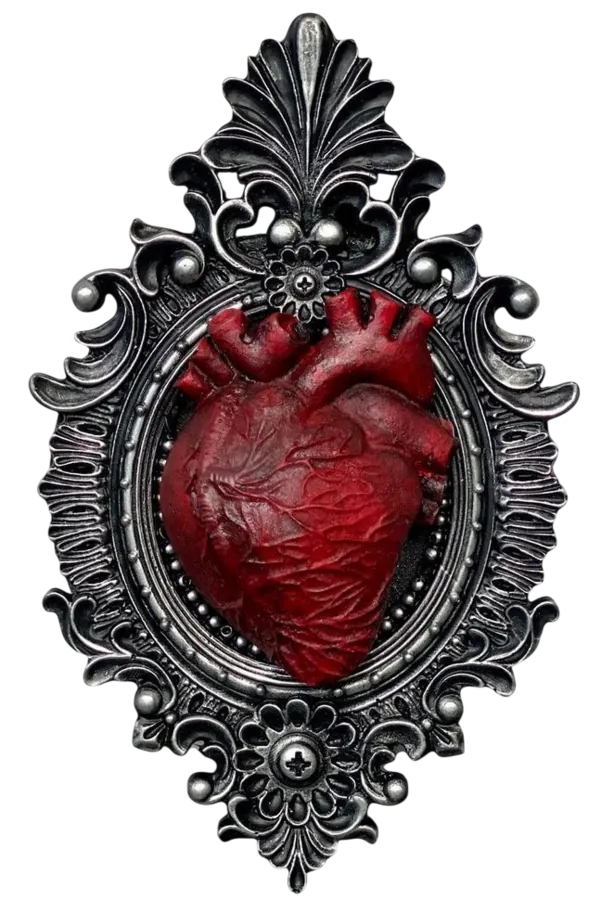 Image posted by the member