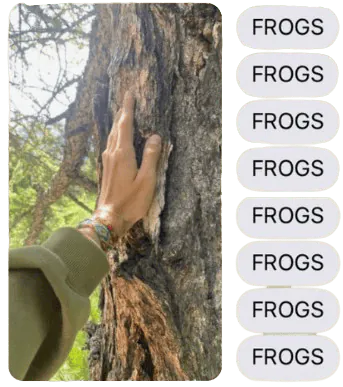 Image posted by the member