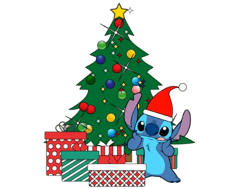 Image posted by the member