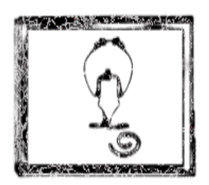 Image posted by the member