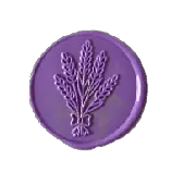 Image posted by the member