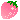 Image posted by the member